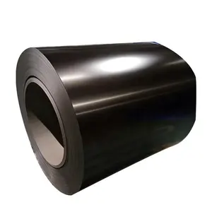 Versatile PPGI Galvanized Steel Sheet Coil for a Wide Range of Projects