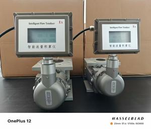 Alat Ukur Aliran Turbin <span class=keywords><strong>Gas</strong></span> Alat Ukur Aliran <span class=keywords><strong>Gas</strong></span> Alam - Product Image 2