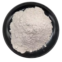 Poudre de kaolin argile blanche pour le bourrage de papier Chine approvisionnement d'usine