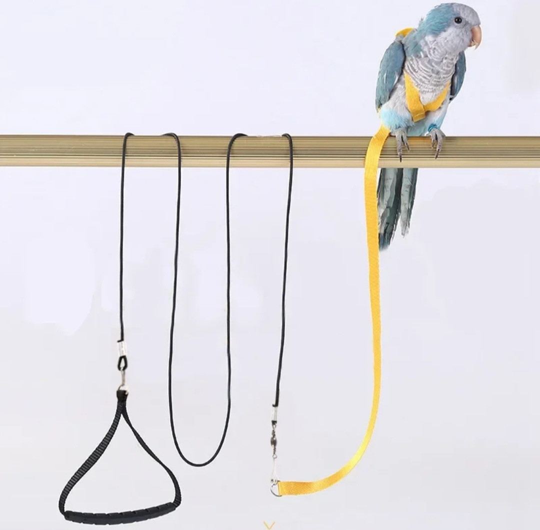 สีเหลือง