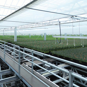 Serre en verre isolé trempé à contrôle solaire de haute qualité de grande taille pour la culture de légumes à des fins agricoles - Product Image 4