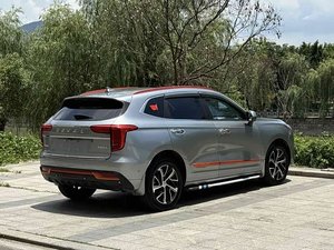 Haval First Love Auto 2021 2022 2023 Usata, SUV Spazioso con Connettività Smart, Cambio a 7 Velocità, dalla Cina - Product Image 5