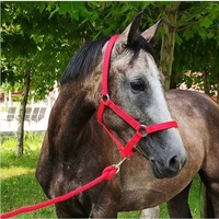 Équipement équestre Accessoires Équitation Bride Extérieur Nylon Polyester Nylon Corde Expédition Halter Selle Anglaise