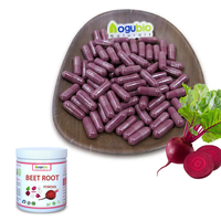Fournisseur d'usine, extrait de racine de betterave biologique et naturel, poudre de racine de betterave rouge