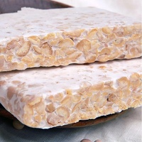 Tempeh de pois chiches pour des repas surgelés sains, protéines végétales sans gluten, idéal pour la friteuse à air et les salades