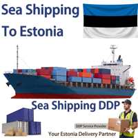 Modificación de Puerta Lateral Personalizable para Contenedor de Carga Seca, para Exportación de Vehículos, Transporte de Carga FCL