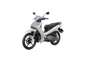Motocicleta de Alta Calidad con Inyección de Combustible de 115cc, 4 Tiempos, Monocilíndrica, Refrigerada por Aire, para Desplazamientos Diarios - Product Image 4