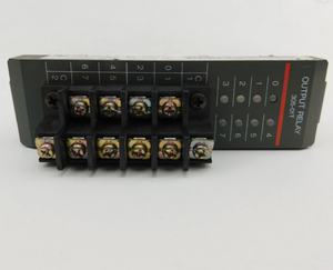 MODULE DE RELAIS DE SORTIE 305-01T 8 POINTS 4 AMPÈRES 5-265 VAC 50/60 HZ - Product Image 6