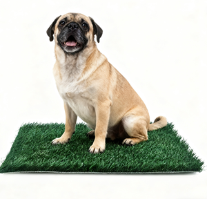Chine Usine Portable Écologique En Plastique Merde Tapis Artificiel Chien Herbe Tapis Pet Pot Chien Pot Herbe avec Plateau pour Chiens - Product Image 2