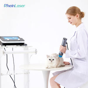 Medizinische Stoßwellen physiotherapie Tiers toß wellen maschine zur Schmerz linderung Pferde behandlung - Product Image 4