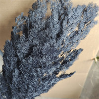Vente en gros de fougères Ming naturelles préservées à jamais, fleurs immortelles à longue durée de vie, tiges pour arrangements de Thanksgiving et de la Fête des Mères