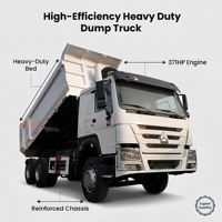 Б/у самосвал Sinotruk Howo 6x4, дизельный, 351-450 л.с., Евро-2, грузоподъемность 31-40 т, 10 колес, леворульный, продается