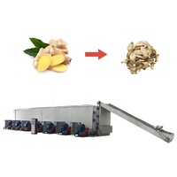 Ondersteuning voor maatwerk Chili-droogmachine, continue tomatendroogmachine, gaasband-kool/fruit/gember-tunnel droogmachine