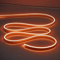 Bande LED néon personnalisée 1m-30m, étanche, flexible, pour décoration de magasin, mariage, fête, aménagement paysager, néon en gros