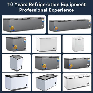 Congelatore a Pozzetto Personalizzato in Acciaio Inox a 2 Porte, <span class=keywords><strong>Frigorifero</strong></span> Commerciale <span class=keywords><strong>Orizzontale</strong></span> a Doppia Temperatura per Casa - Product Image 5