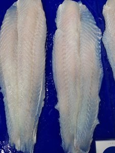 Đông Lạnh Cá Tra <span class=keywords><strong>Fillet</strong></span> Đông Lạnh Basa <span class=keywords><strong>Fillet</strong></span> Cho Bán Buôn Cá Tra <span class=keywords><strong>Fillet</strong></span> Từ Trung Quốc - Product Image 3