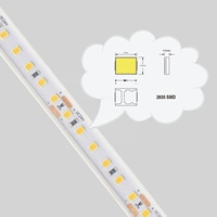 Colle synthétique étanche à 60LED, smd 2835, 3000K/6000K, 12/24V, 10mm, ruban de lumière
