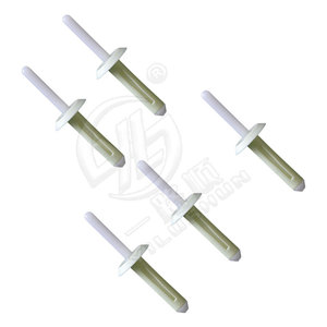 Remaches ciegos de nailon S25 para fijación de revestimiento de pasos de rueda Ford - Product Image 2