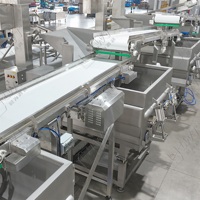 Chaîne de traitement des fruits et légumes LWT : Friteuse, Laminoir à pâte, Mélangeur, Four de cuisson, Pasteurisateur – Automatique, Haute Efficacité, Grande Capacité