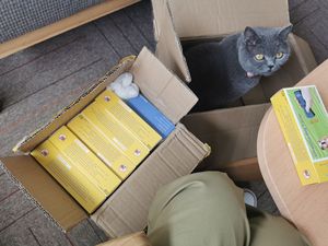 Répulsif à ultrasons pour chiens <span class=keywords><strong>longue</strong></span> <span class=keywords><strong>portée</strong></span> 2 en 1, <span class=keywords><strong>anti</strong></span>-<span class=keywords><strong>aboiement</strong></span> manuel, pulvérisation automatique, dispositif <span class=keywords><strong>anti</strong></span>-<span class=keywords><strong>aboiement</strong></span> pour singes pour la ferme - Product Image 4