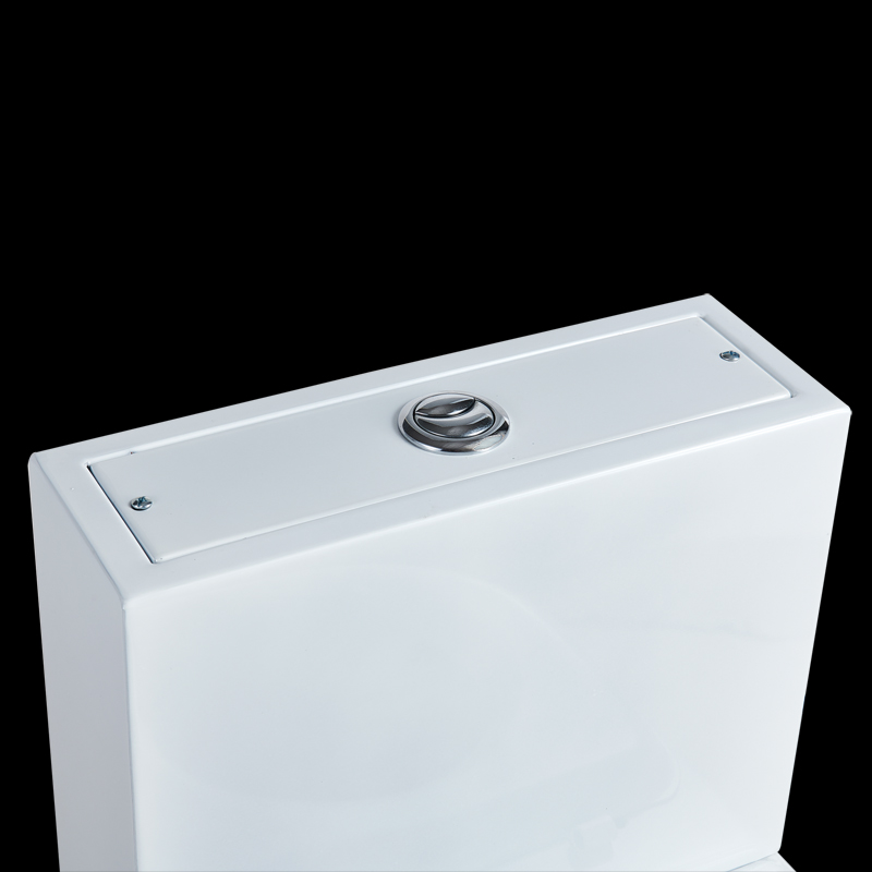 Customized Color One Piece WC Metal Bathroom Toilet For Sale