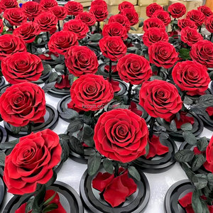 Regalo del Día de la madre de San Valentín 2025, flores <span class=keywords><strong>rosas</strong></span> para siempre, <span class=keywords><strong>rosas</strong></span> naturales hechas a mano eternas preservadas en cúpula de cristal para mujeres <span class=keywords><strong>y</strong></span> niñas - Product Image 5