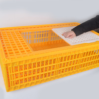 Cage à cailles en plastique en parfait état, élevages avicoles, cages en acier empilables, cages de transport automatiques pour poulets