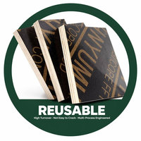 Contrachapado Fenólico Negro de la Mejor Calidad con Película Impermeable, Materiales de Construcción Reutilizables para Ingeniería de Puentes
