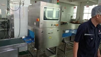 Machine d'inspection par rayons X pour l'industrie alimentaire, détection de contaminants métalliques à haute résolution pour les gros morceaux de porc