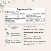 Poudre de peptides multi-collagène sans saveur, Keto, sans OGM, enrichie en vitamine C et acide hyaluronique, suppléments pour adultes pour la santé des cheveux, marque privée OEM
