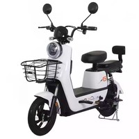 2024 usine chinoise avec certificat CE Offre Spéciale 500w 48v 60v 20ah vélo électrique vélo électrique