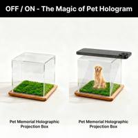Boîte numérique holographique commémorative pour animaux de compagnie, projection 3D, présentoir en acrylique, pour chats et chiens, condoléances pour la perte d'un animal, fournisseur de services funéraires pour animaux de compagnie