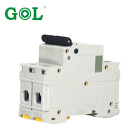 Disjoncteur miniature MCB 1P 2P 2 pôles 6A 100A 10kA avec protection Li certifié IEC CE CCC 110-220V