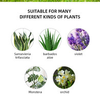 Pots à plantes en plastique PP carrés de haute qualité, minimalistes, avec couleur et taille personnalisées pour l'extérieur, la maison, le balcon, le jardin