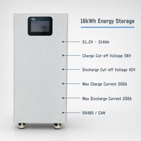 Sistema de Almacenamiento de Energía con Batería de Litio de 5kWh Montable en Pared, Inversor Todo en Uno de 2kW y 12.8V 314Ah con MPPT RS485 WiFi