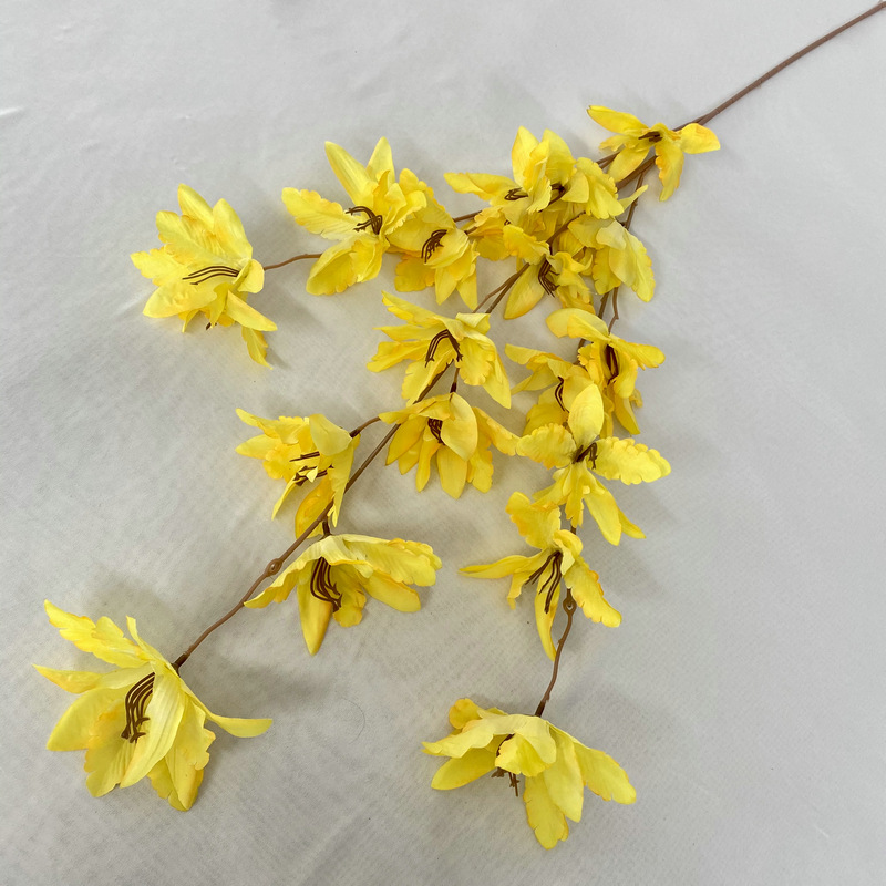 ผ้ายาวสาขาฟีนิกซ์หางกล้วยไม้