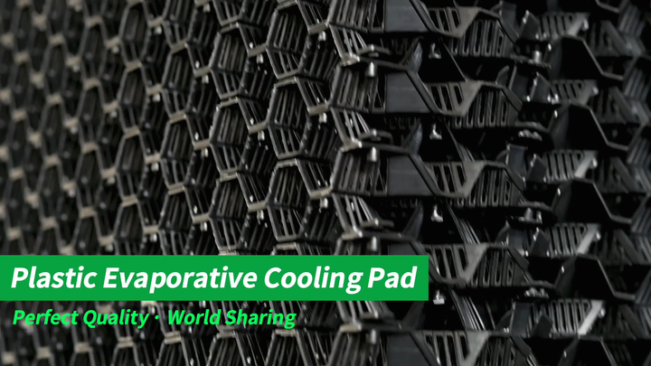 New Poultry Farm Greenhouse Cooling System Double Ripple - Main Image