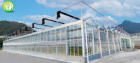 Serre agricole/commerciale, serre Venlo, serre en verre, serres agricoles en polycarbonate à vendre