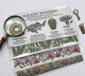 Vaso Delgado Premium de 16oz con Pegatinas de Transferencia UV DTF de Alta Adhesión, Diseños Ecológicos y Lindos de Gatos Estilo Q - Product Image 3