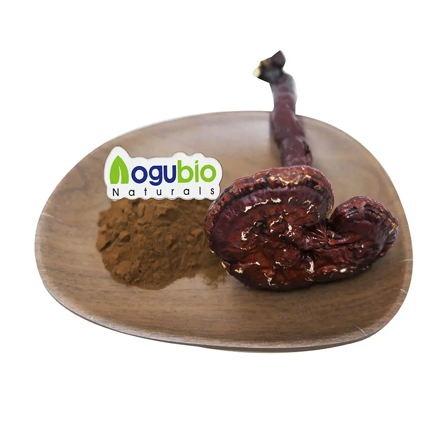 Yüksek kaliteli organik Ganoderma Lucidum özü Reishi mantarı özü tozu polisakkaritler 40%