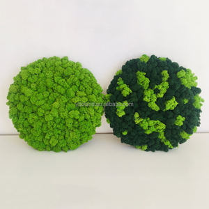 E-M021 Vente en gros de mousse naturelle de qualité supérieure à longue durée de vie 100g 500g, mousse de renne stabilisée pour la décoration murale de Noël, d'hôtels, de cafés et de maisons - Product Image 5