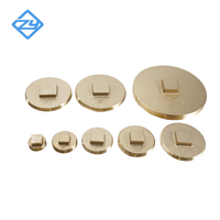 Bouchon de vidange commercial en laiton avec corps en fonte pour les drains de sol des salles de bain et des hôtels