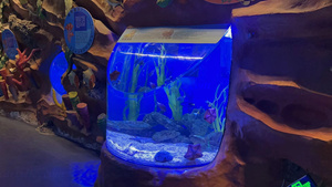 <span class=keywords><strong>Aquarium</strong></span> <span class=keywords><strong>Table</strong></span> <span class=keywords><strong>Basse</strong></span> <span class=keywords><strong>Aquarium</strong></span> <span class=keywords><strong>Table</strong></span> <span class=keywords><strong>Aquarium</strong></span> <span class=keywords><strong>Table</strong></span> pour Salon - Product Image 5