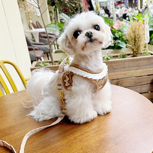 通気性のある厚手の犬用ハーネスとリードのセット、格子柄のフリルトリム付き、子犬、小型犬、中型犬に調節可能 - Product Image 3