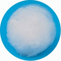 Fibre de polyester blanche brute pour le rembourrage