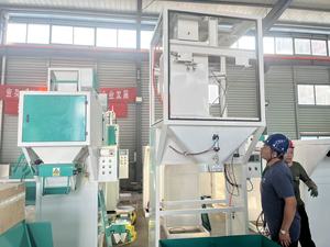 Máquina Ensacadora de Briquetas de Carbón Semiautomática de 15 kg, 25 kg, 50 kg, Máquina Empacadora de Carbón Vegetal, Precio - Product Image 6