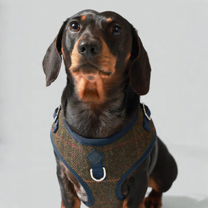 ชุดปลอกคอสุนัขแบบไม่ดึงผ้าทวีดสำหรับสัตว์เลี้ยงเสื้อกั๊กสุนัขแบบไม่ดึงผ้าทวีดออกแบบได้ตามต้องการ - Product Image 1