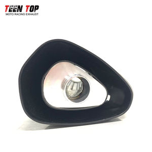 Coude d'échappement 300/435MM pour yamaha <span class=keywords><strong>MT09</strong></span>/MT10 échappement pour <span class=keywords><strong>Kawasaki</strong></span> Z900/Z1000 silencieux GW250 silencieux 51mm - Product Image 5