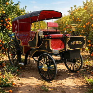Calèche de Mariage Électrique Touristique, Couleur Personnalisée, Châssis en Acier Q235B, Chariot Nuptial Victoria, Transport Spécial - Product Image 1