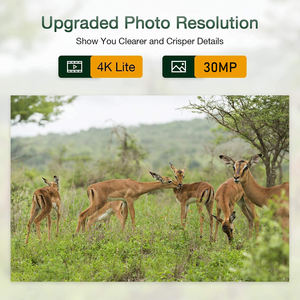 Caméra <span class=keywords><strong>de</strong></span> <span class=keywords><strong>chasse</strong></span> étanche SuntekCam HC-810Pro 4K 120MP avec contrôle par application, diffusion en direct et service cloud gratuit - Product Image 4